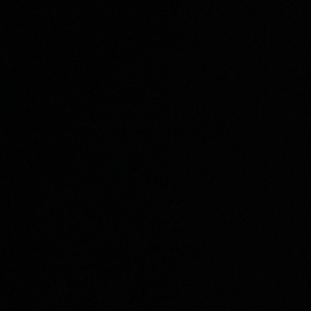 IGNORE